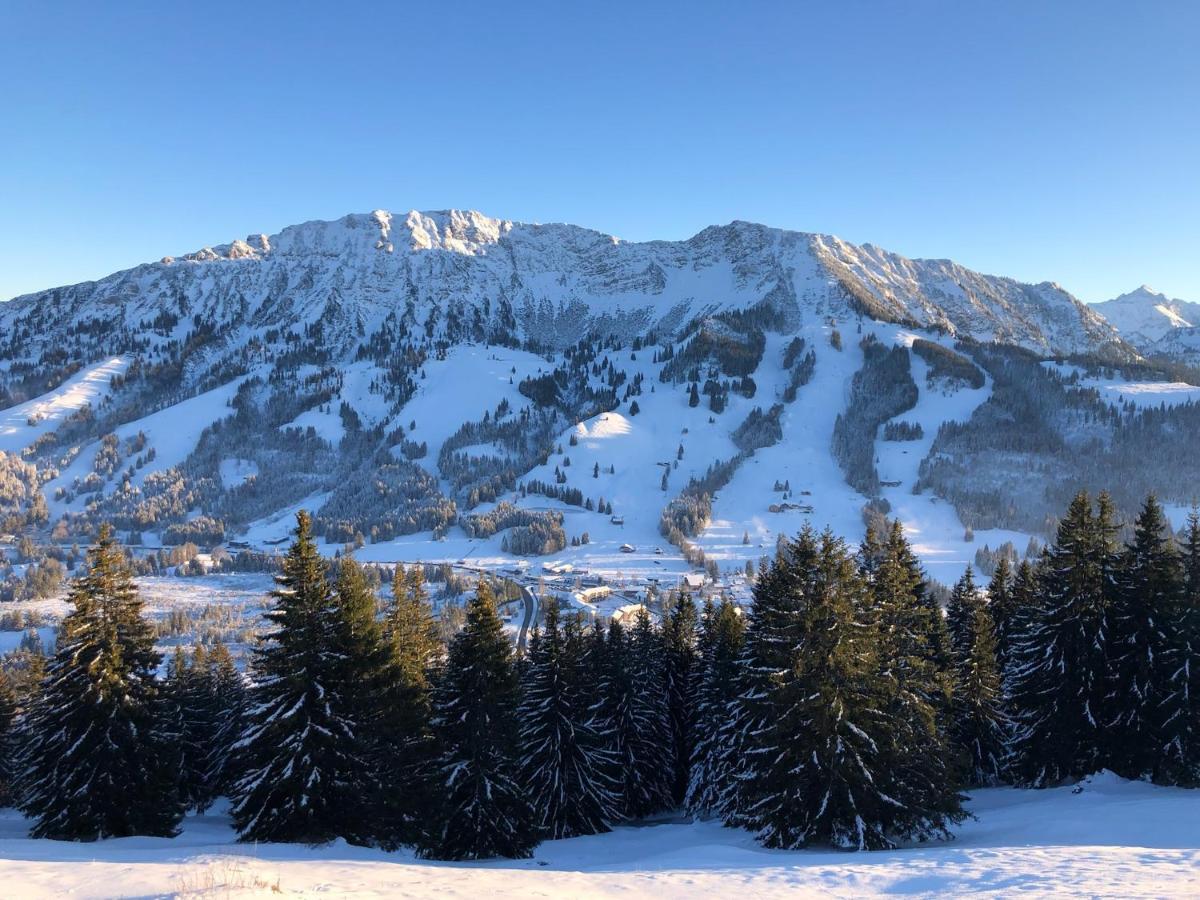 Mountain Lodge Oberjoch, Bad Hindelang - Moderne Premium Wellness Apartments Im Ski- Und Wandergebiet Allgau Auf 1200M, Family Owned, 2 Apartments Mit Privat Sauna Kültér fotó